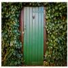 12x10ft Garden Green Leaves Backdrop Gardening Plants Greenery Ivy Photo Photography Background Greenery Leaves Covered Wall Green Door Photo Backdrop Wedding Baby Shower Birthday Party Decoration view 4