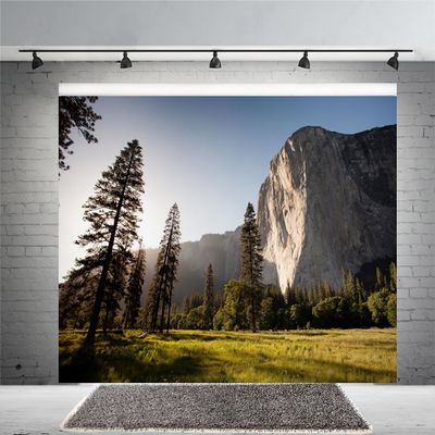 12x8ft Nature Scenic Photography Background Pine Trees Forest Landscape Outdoor Hiking Camping Travel Mountains Landscape Backdrop for Photography Kids Birthday Holiday Vacation Photo Shoot Props