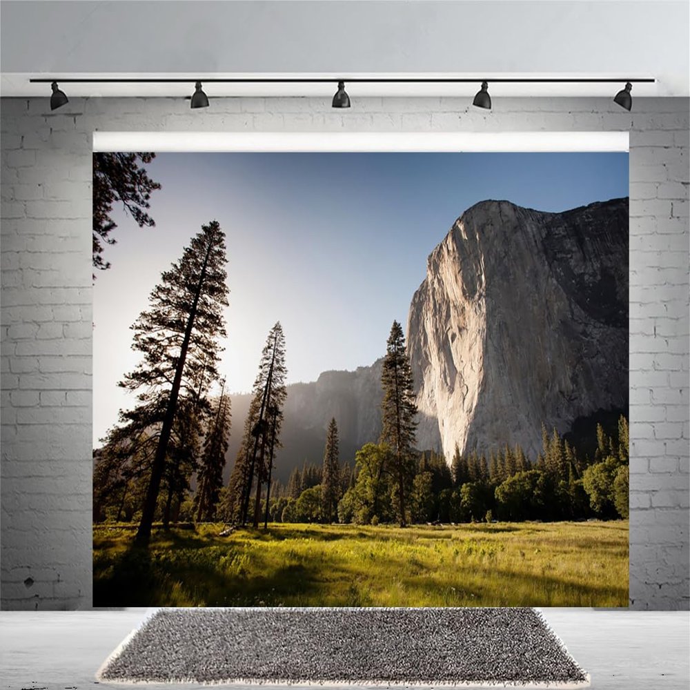 12x8ft Nature Scenic Photography Background Pine Trees Forest Landscape Outdoor Hiking Camping Travel Mountains Landscape Backdrop for Photography Kids Birthday Holiday Vacation Photo Shoot Props