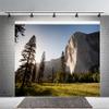 12x8ft Nature Scenic Photography Background Pine Trees Forest Landscape Outdoor Hiking Camping Travel Mountains Landscape Backdrop for Photography Kids Birthday Holiday Vacation Photo Shoot Props view 1