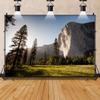12x8ft Nature Scenic Photography Background Pine Trees Forest Landscape Outdoor Hiking Camping Travel Mountains Landscape Backdrop for Photography Kids Birthday Holiday Vacation Photo Shoot Props view 2