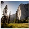 12x8ft Nature Scenic Photography Background Pine Trees Forest Landscape Outdoor Hiking Camping Travel Mountains Landscape Backdrop for Photography Kids Birthday Holiday Vacation Photo Shoot Props view 3
