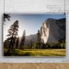 12x8ft Nature Scenic Photography Background Pine Trees Forest Landscape Outdoor Hiking Camping Travel Mountains Landscape Backdrop for Photography Kids Birthday Holiday Vacation Photo Shoot Props view 4