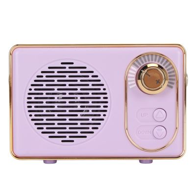 Dpofirs Retro Bluetooth Speaker, Vintage Portable Bluetooth Speakers for Kitchen Desk Bedroom Office Party Outdoor, Portable Speaker, Party Gift ()