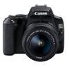 Canon EOS 250D/SL3 Vlogger Kit:EF-S 18-55mm & EF 75-300mm Lenses,64GB Memory Card,Ring Light,Spider Tripod,3 Piece Filter Kit,Gadget Bag,Remote Shutter,USB Card Reader & Cleaning Kit (Renewed) view 2