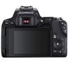 Canon EOS 250D/SL3 Vlogger Kit:EF-S 18-55mm & EF 75-300mm Lenses,64GB Memory Card,Ring Light,Spider Tripod,3 Piece Filter Kit,Gadget Bag,Remote Shutter,USB Card Reader & Cleaning Kit (Renewed) view 4