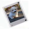 Fujifilm Instax Mini 12 Instant Camera + Pro Design Protective Case & Magnetic Lucite Frames, 20 Sheets (Blossom Pink) view 2