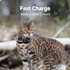 Tractive GPS Cat Mini Charging Cable view 4