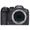 Canon EOS R7 Digital Camera with RF-S 18-45mm f/4.5-6.3 is STM Lens+ 420-800mm Super Telephoto Lens + 100S Sling Backpack + 64GB Memory Cards, Professional Photo Bundle (42pc Bundle) (Renewed) view 2