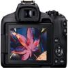 Canon EOS R50 4K Video Mirrorless Camera (Body Only) Enhanced with Professional Accessory Bundle - Includes 14 Items (Renewed) view 4