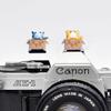 ZOSTLAND Adorable SLR Camera Hot Shoe Boot Cover Cap,Box Shoe Protector,Compatible with Sony Fuji Canon Nikon Pentax Leical. (2pcs Cat) view 1