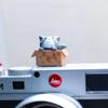 ZOSTLAND Adorable SLR Camera Hot Shoe Boot Cover Cap,Box Shoe Protector,Compatible with Sony Fuji Canon Nikon Pentax Leical. (2pcs Cat) view 4