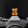 ZOSTLAND Lovely SLR Camera Hot Shoe Boot Cover Cap, Brown Bear Shoe Protector,Compatible with Sony Fuji Canon Nikon Pentax Leical. (2pcs Bear) view 4
