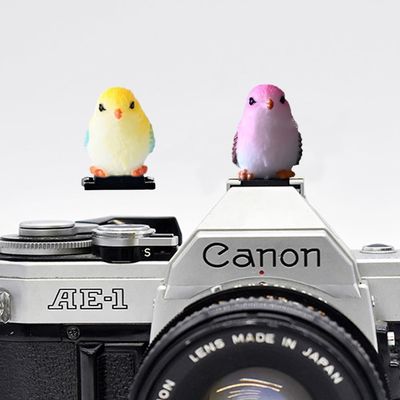 ZOSTLAND Special SLR Camera Hot Shoe Boot Cover Cap,Attractive Shoe Protector,Compatible with Sony Fuji Canon Nikon Pentax Leical. (2pcs Bird)