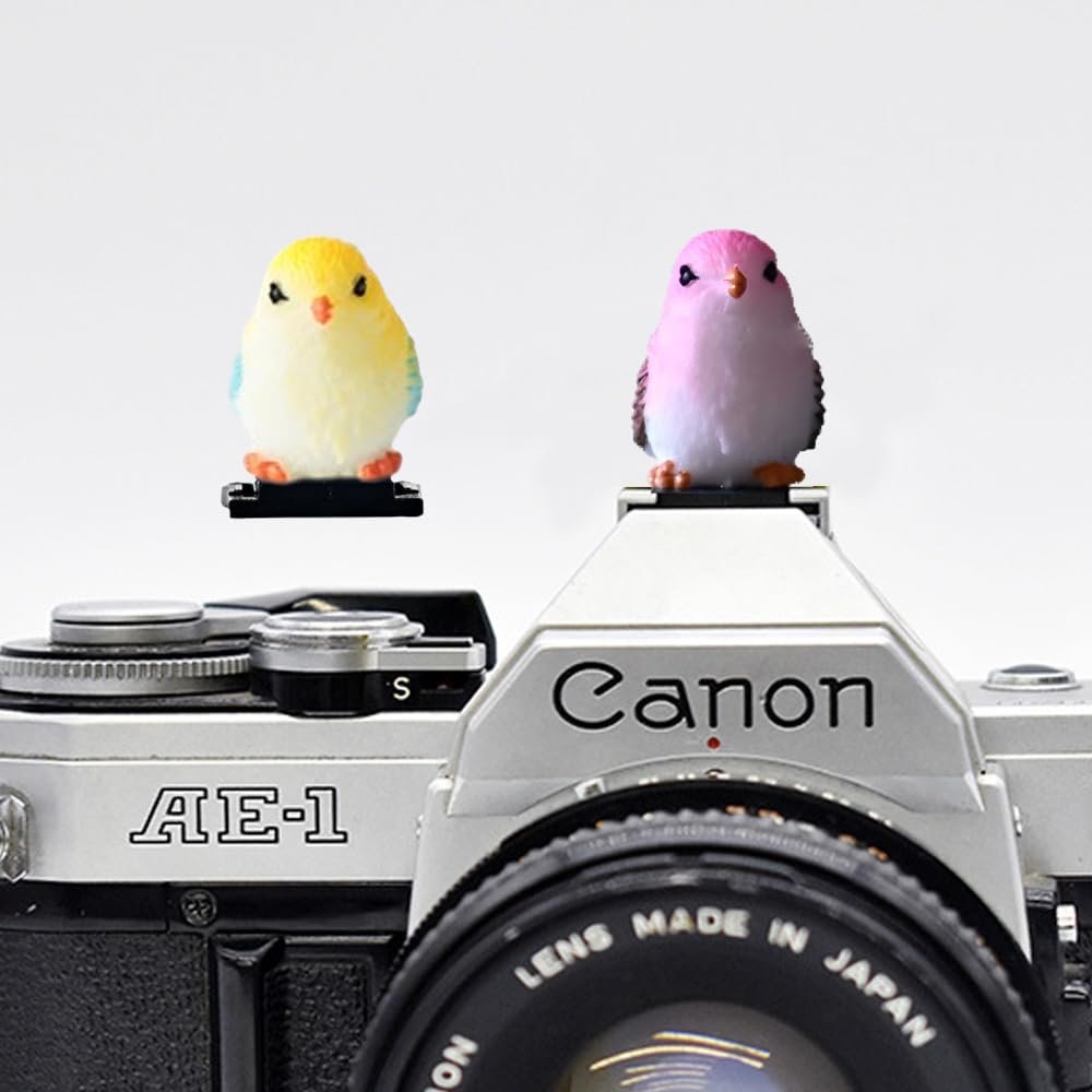 ZOSTLAND Special SLR Camera Hot Shoe Boot Cover Cap,Attractive Shoe Protector,Compatible with Sony Fuji Canon Nikon Pentax Leical. (2pcs Bird)