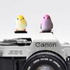 ZOSTLAND Special SLR Camera Hot Shoe Boot Cover Cap,Attractive Shoe Protector,Compatible with Sony Fuji Canon Nikon Pentax Leical. (2pcs Bird) view 1