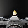 ZOSTLAND Special SLR Camera Hot Shoe Boot Cover Cap,Attractive Shoe Protector,Compatible with Sony Fuji Canon Nikon Pentax Leical. (2pcs Bird) view 4