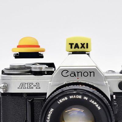 ZOSTLAND Special SLR Camera Hot Shoe Boot Cover Cap,Fashionable Dustproof Hot Shoe Protector,Compatible with Sony Fuji Canon Nikon Pentax Leical (Taix + Hat)