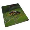 AthuAh Insects On Leavesmouse Pad 1012 Inches with Non-Slip Rubber Base  Precision Locking Edges for Laptops, Desktop Computers. view 2