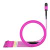 AMPCOM MPO to LC Breakout Cable 50/125m MultiMode OM4(24 Fiber,MPO to LC, Type B, LSZH/Riser, UPC, Magenta) 1m (3ft) view 2