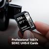 Lexar Professional 1667x 128GB (2-Pack) SDXC UHS-II Memory Cards, C10, U3, V60, Full-HD & 4K Video & Tiffen 52UVP 52mm UV Protection Filter,Black, 2.04" L x 2.04" W view 3