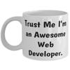 Appreciation Web developer Gifts, Trust Me I'm an Awesome Web Developer, Funny 11oz 15oz Mug For Coworkers, Cup From Boss, Birthday present, Gift ideas for birthday, What to get for birthday, Unique view 1