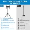 Portable TV Tripod Stand Tilt Mount for 32 to 55 inch LCD LED Flat Screen TV Display Floor Stand view 2