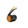 Spektrum SMART Firma 3652 3800Kv 4-Pole BL Motorcycle Motor, SPMXSM3200 view 4