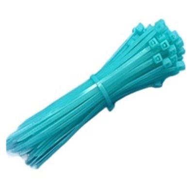 NORAZE 100pcs Self Locking Nylon Cable TiesPlastic Zip Tie Binding Wrap Straps DIY Cable Fasten Organiser Colorful (Color : Sky Blue, Size : 3x150mm)