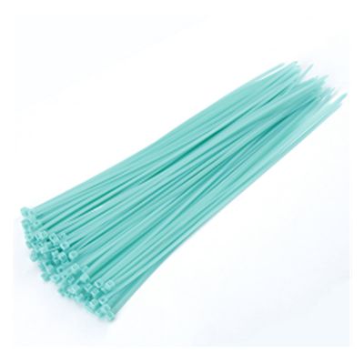 NORAZE 100pcs Self Locking Nylon Cable TiesPlastic Zip Tie Binding Wrap Straps DIY Cable Fasten Organiser (Color : Sky Blue, Size : 3x100mm)