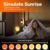 URDUIN Sunrise Alarm Clock for Kids Heavy Sleepers Adults, Wake Up Light Alarm Clocks for Bedrooms with Dual Alarms, Sunrise Simulation, FM Radio, Sleep Aid, Snooze, 7 Colors, 7 Natural Sounds view 2