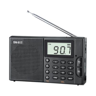 SEMIER Portable AM FM SW Bluetooth Radio with 1200mah Rechargeable Battery, Small Shortwave Radio Digital Tuning, LCD Display, Support USB and Micro SD Card, Build-in Bass Speaker and Earphone Jack