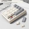 Kisnt Mechanical Number Pad Red Switch &Blue Switch view 4