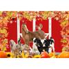 CRTPOD 9x6ft Fall Backdrop for Photoshoot Harvest Red Barn Door Background for Photography Autumn Leaves Pumpkin Thanksgiving Party Wall Decor Farmhouse Animals Photo Studio Props view 1