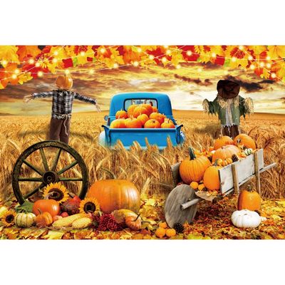 10x7ft Fall Wheat Field Backdrop for Photoshoot Autumn Maple Leaves Background for Photography Scarecrow Thanksgiving Party Wall Decor Pumpkins Truck Farmhouse Harvest Portrait Photo Studio Props