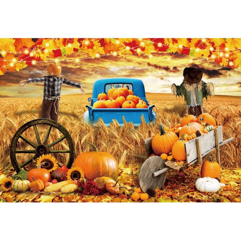 10x7ft Fall Wheat Field Backdrop for Photoshoot Autumn Maple Leaves Background for Photography Scarecrow Thanksgiving Party Wall Decor Pumpkins Truck Farmhouse Harvest Portrait Photo Studio Props
