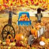 10x7ft Fall Wheat Field Backdrop for Photoshoot Autumn Maple Leaves Background for Photography Scarecrow Thanksgiving Party Wall Decor Pumpkins Truck Farmhouse Harvest Portrait Photo Studio Props view 4