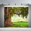 15x10ft Spring Huge Tree Backdrop Spring Nature Scenery Photography Background Rural Aged Tree Sunshine Sky Cloud Grass Field Outdoor Kids Wedding Birthday Party Outdoor Picnic Decoration Banner view 2