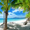 10x6.5ft Summer Background Hawaiian Beach Palm Tree Beach Photography Backdrop for Wedding Bride Show Baby Birthday Party Banner view 2
