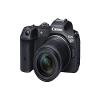 Canon EOS R7 Mirrorless Camera w/RF-S18-150mm f/3.5-6.3 is STM Lens Kit (International Version) view 2