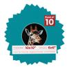 Poster Palooza 10x10 Photo Mat Board for 6x6 Photos Precut Circle Shape Opening Acid Free Bevel Cut Picture Frame Mat, Steel Blue, Mat Board for Framing Photos & Artwork, 10-Pack Matboards Show Kits view 1