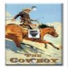Art Plates - One Port RJ11 - Telephone decorative printed keystone style wall plate. CAT3 - RJ12 Female to Female phone jack. Works for phones, fax, ect. - Horse-The Cowboy view 1