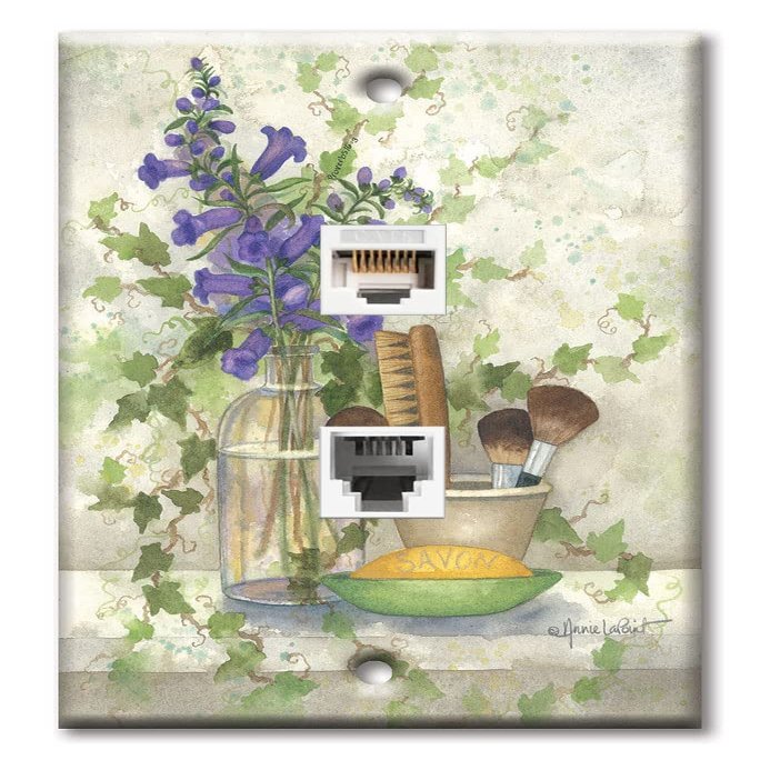 Art Plates - Decorative Printed 2 Port Data Wall Plate - RJ11 Telephone Jack Connector and RJ45 (Cat5, Cat6, Cat7) Ethernet Connector - Gold-Plated Contacts - Bath Brushes