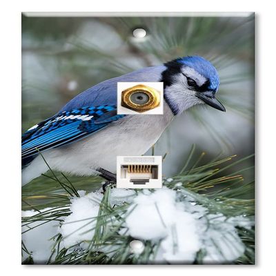 Art Plates - Decorative Printed 2 Port Data Wall Plate, RJ11 Telephone Jack Connector with RJ45 (Cat5, Cat6, Cat7) Ethernet Connector, Gold-Plated - Blue Bird