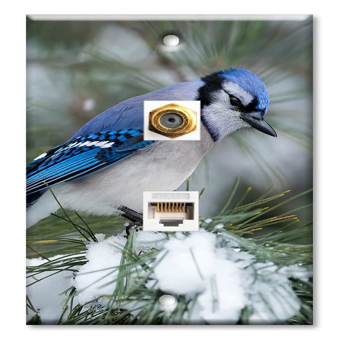 Art Plates - Decorative Printed 2 Port Data Wall Plate, RJ11 Telephone Jack Connector with RJ45 (Cat5, Cat6, Cat7) Ethernet Connector, Gold-Plated - Blue Bird
