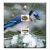 Art Plates - Decorative Printed 2 Port Data Wall Plate, RJ11 Telephone Jack Connector with RJ45 (Cat5, Cat6, Cat7) Ethernet Connector, Gold-Plated - Blue Bird view 1