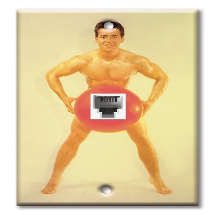 Art Plates - One Port RJ11 - Telephone decorative printed keystone style wall plate. CAT3 - RJ12 Female to Female phone jack. Works for phones, fax, ect. - Beach Hunk