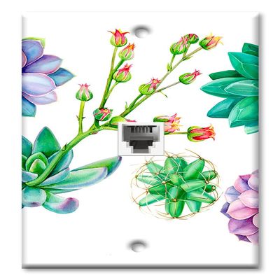 Art Plates - One Port RJ11 - Telephone decorative printed keystone style wall plate. CAT3 - RJ12 Female to Female phone jack. Works for phones, fax, ect. - Succulents