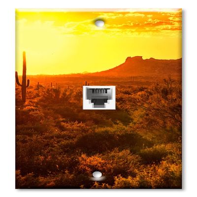 Art Plates - One Port RJ11 - Telephone decorative printed keystone style wall plate. CAT3 - RJ12 Female to Female phone jack. Works for phones, fax, ect. - Desert at Dawn