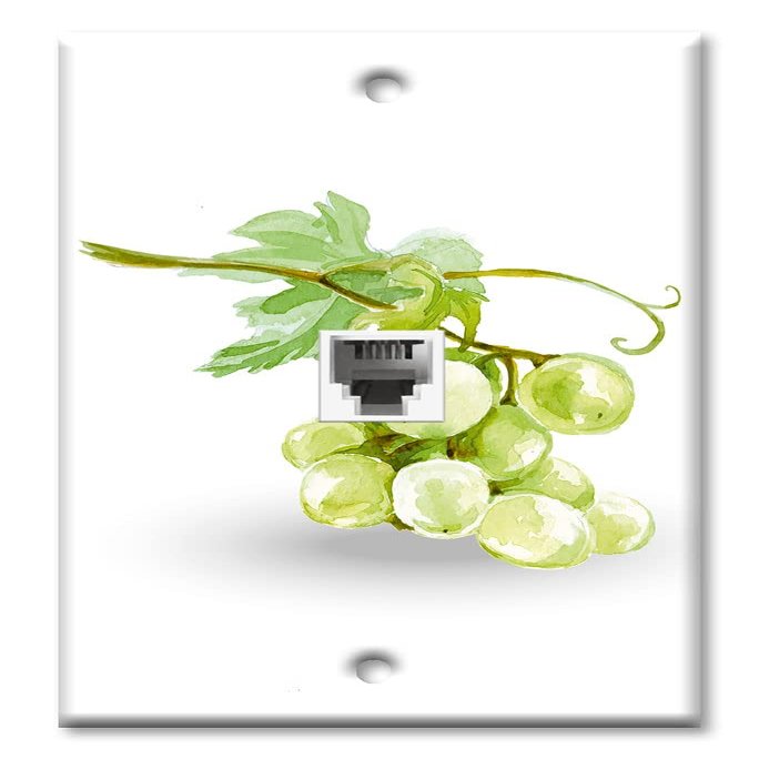 Art Plates - One Port RJ11 - Telephone decorative printed keystone style wall plate. CAT3 - RJ12 Female to Female phone jack. Works for phones, fax, ect. - Green Grape Painting